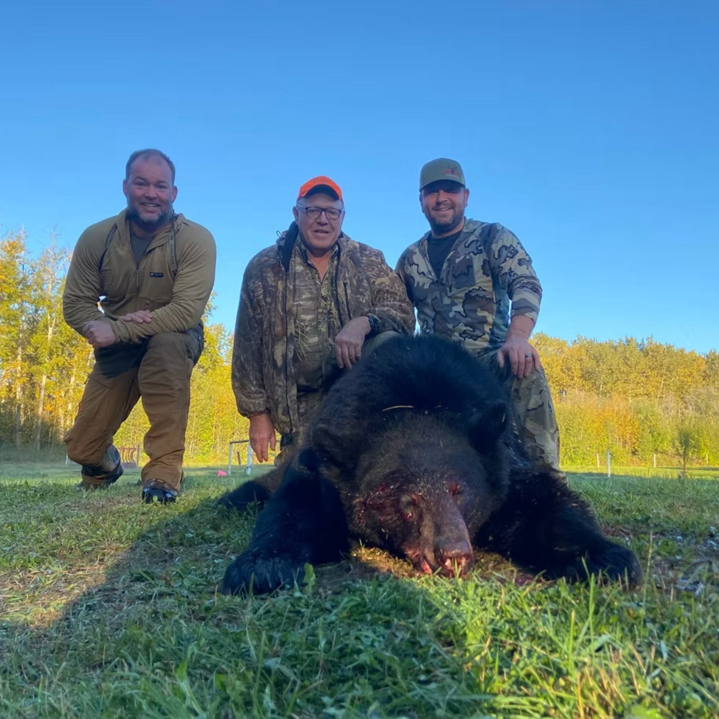 4-Day Guided Bear Hunt