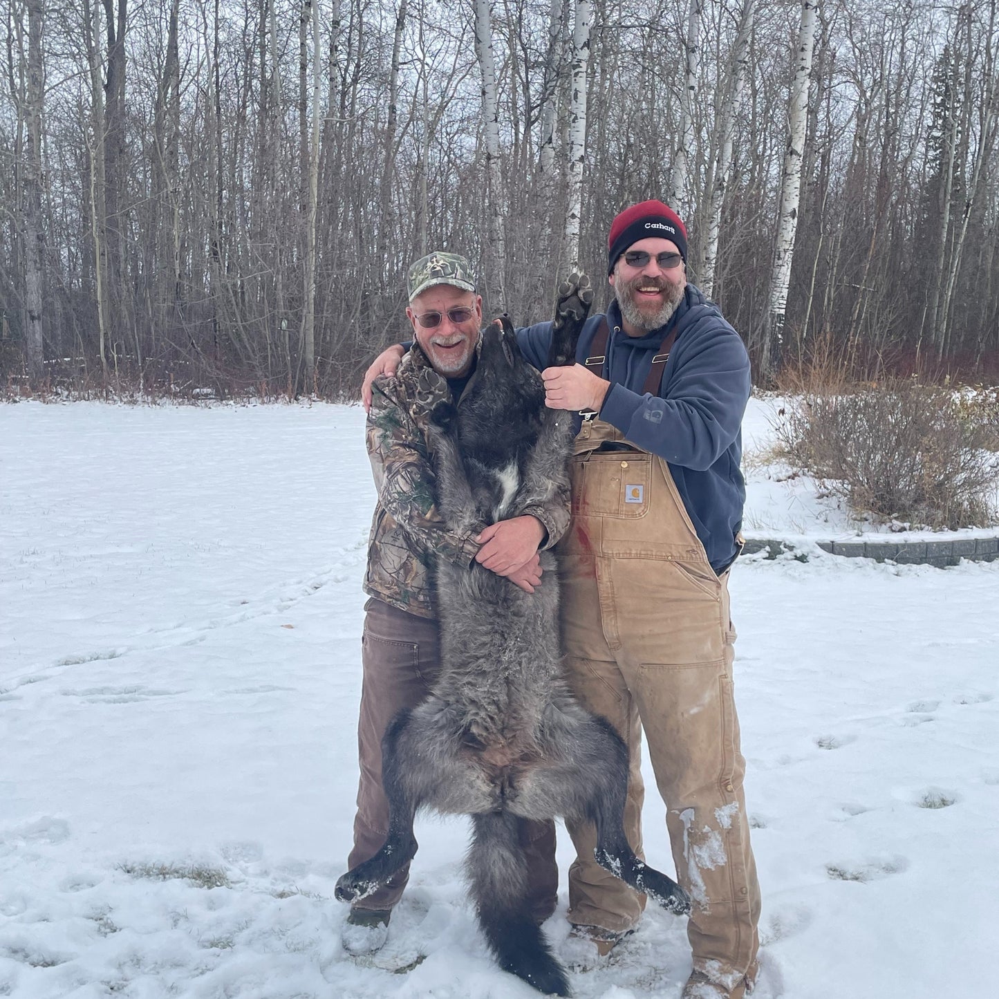 5-Day Guided Wolf Hunt